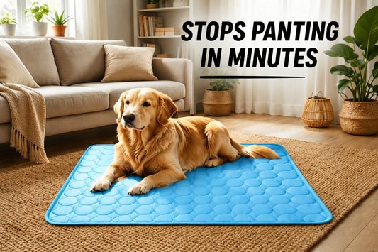 FrostPaw™ – All Day Cooling Comfort Mat 3.0
