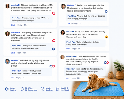 FrostPaw™ – All Day Cooling Comfort Mat 3.0